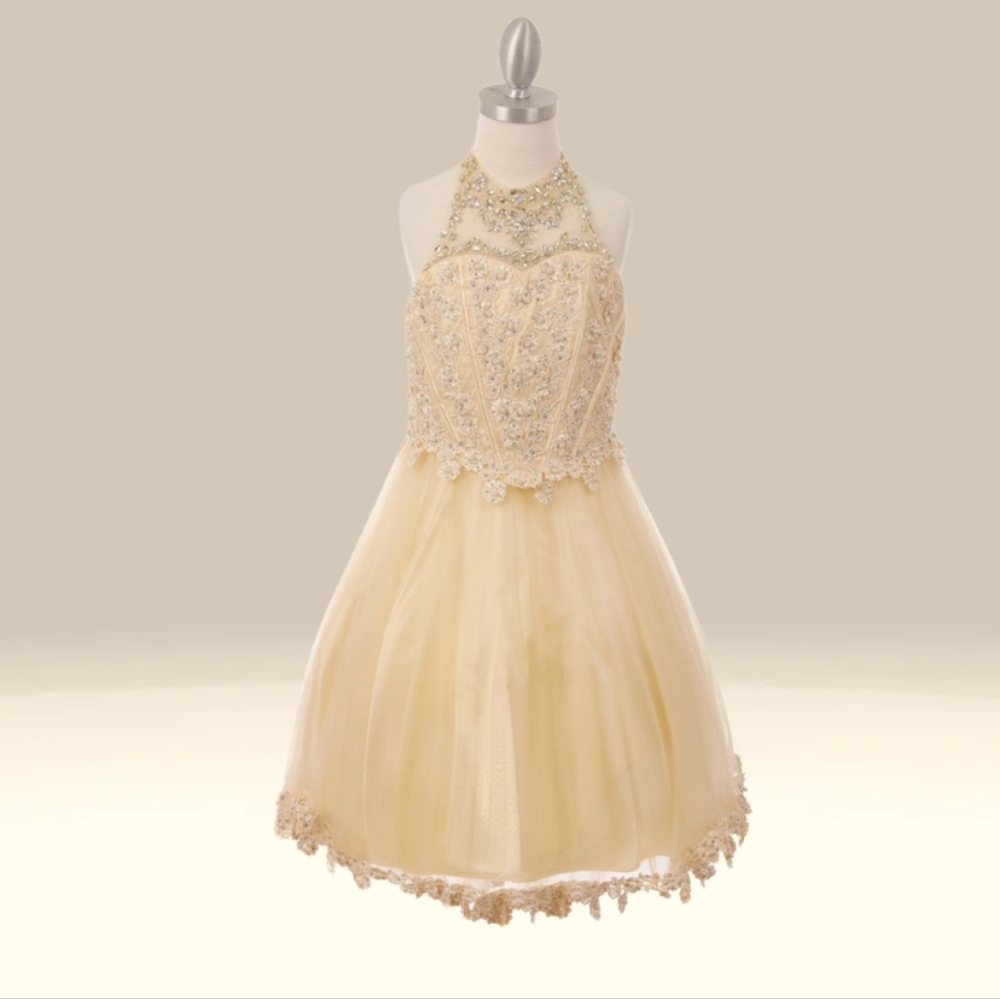 Champagne beaded sequin short dress